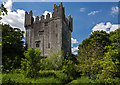 R3541 : Castles of Munster: Castle Matrix, Limerick (1) by Mike Searle