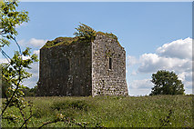 R2842 : Castles of Munster: Ballyegnybeg, Limerick (2) by Mike Searle