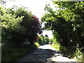 Entering Gislingham on Thornham Road