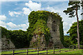 W7898 : Castles of Munster: Castlehyde, Cork by Mike Searle