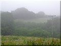 Farmland and woodland east of Welcombe, Devon