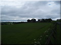 Farmland at Ledyatt Farm