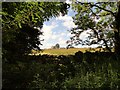 View of Stobbilee Farm