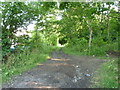 Monarch Way emerging onto Doverdale Lane