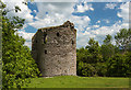 S7235 : Castles of Leinster: Coolhill, Kilkenny (1) by Mike Searle