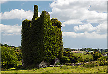 S5412 : Castles of Leinster: Corluddy, Kilkenny (2) by Mike Searle