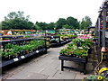 Adrian Hall Garden Centre, Feltham, 2