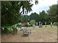 St Nicholas, Pyrford: churchyard (iii)