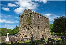 S4935 : Castles of Leinster: Aghaviller, Kilkenny (1) by Mike Searle