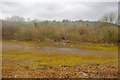 Waste ground, Yeovil Junction