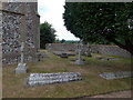 St Edward the Confessor, Sutton Park: churchyard (v)