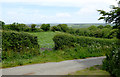 Lane and pasture at Elmscott, Devon