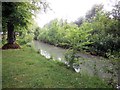 Stream by Arundel Castle