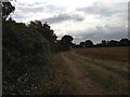 Bridleway from Southend Farm