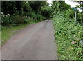 Public footpath sign, St Ishmael