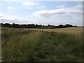 Footpath near Ravensden