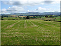 NY6326 : Recently mown field, Kirkby Thore by Oliver Dixon