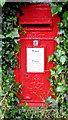 King George VI postbox in a hedge, St Ishmael