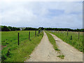 Track to Golden Park Farm near South Hole, Devon