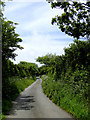 Lane to Elmscott, Devon