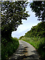 Lane to Welcombe, Devon