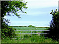 Crop field east of South Hole, Devon