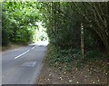 Sussex Border Path leaves Highfield Lane