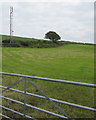 Telecoms mast near Tanylan Farm