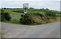 Left here for happy eggs, dog holidays and logs, Bryn-y-M?r Farm near Kidwelly