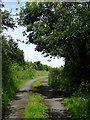 Lane to Elmscott, Devon