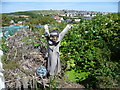 Guardians of the allotments