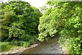 River Esk from Grosmont Bridge