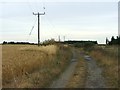 Track leading towards Leysdown-on-Sea from Muswell Manor