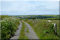 Narrow lane to South Hole, Devon