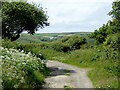 Narrow lane to South Hole, Devon