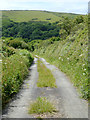 Narrow lane to South Hole, Devon