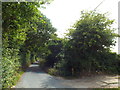 Dairyhouse Lane, Bradfield Heath