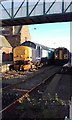 Class 37 at St Bees station