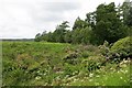 Dam, Pond of Drummond