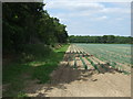 Crop field and hedgerow