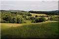 Farmland near Frith Common