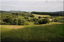 SO6869 : Farmland near Frith Common by Philip Halling