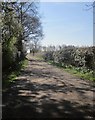 Track to Lund House Farm