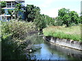 The New River northwest of the West Reservoir Centre