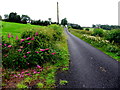 Doocrock Road, Lettergash / Corlaghdergan