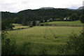 Farmland beside Strowan Road