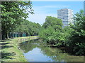 The New River south of Newnton Close, N4