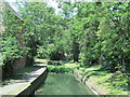 The New River west of Bethune Road, N4 (2)