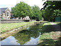 The New River south of Amhurst Park (A107), N16 (3)