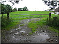 Closed gates, Moorfield